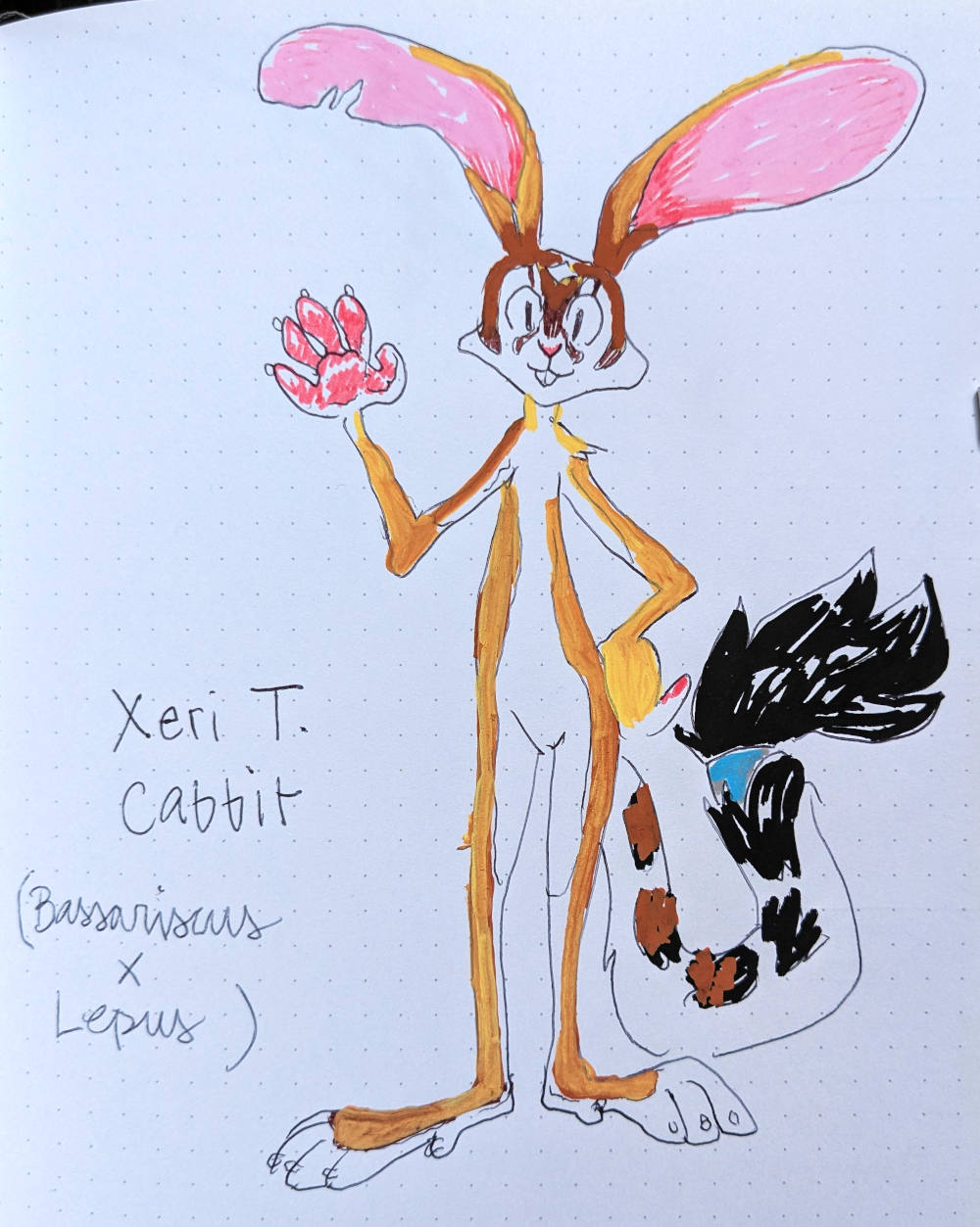 a tall, skinny anthropomorphic hare ringtail hybrid